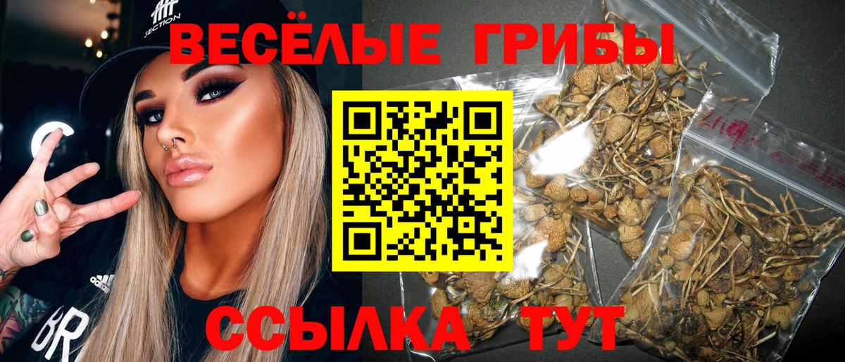 Галлюциногенные грибы Cubensis Обь